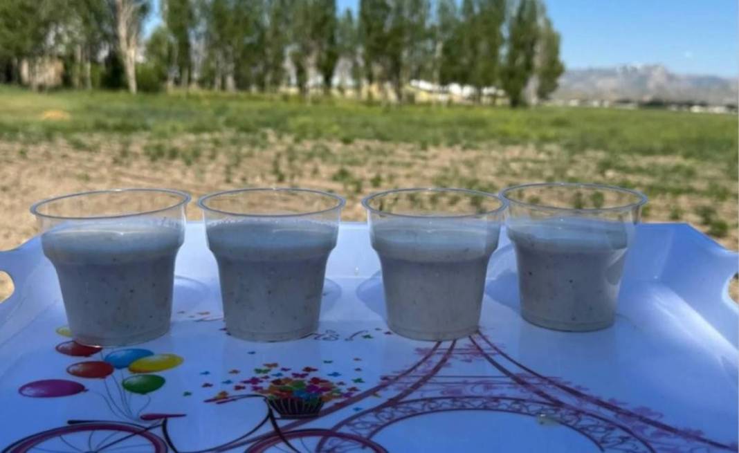 Yüksekova alternatif tarımda rekora koşuyor: Bir yumrudan dört kat ürün çıktı 5